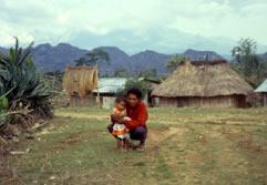 iart26_timor.jpg