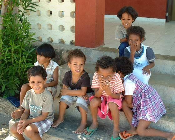 iart26_timor4.jpg